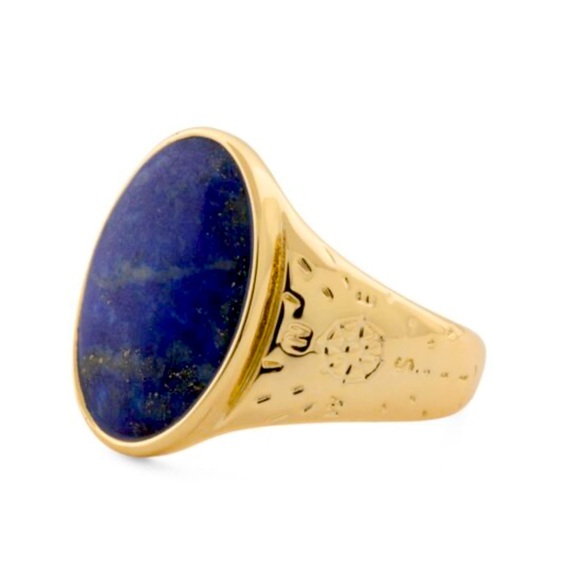 NWT Gorjana Lapis Gold Power Gemstone Ring for WISDOM - Picture 2 of 3